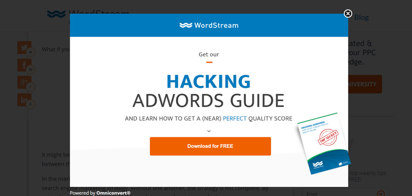 wordstream overlay