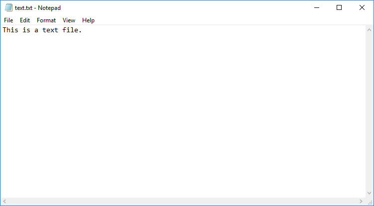 history of .txt file