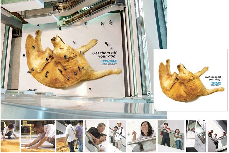 frontline floor ad