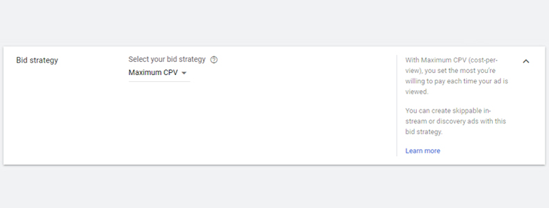 google maximum cpv bidding strategy