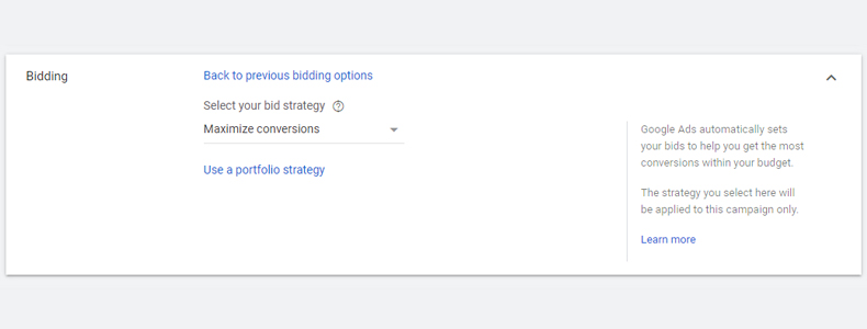 maximize conversions bidding strategy